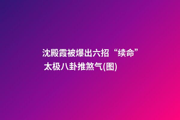 沈殿霞被爆出六招“续命” 太极八卦推煞气(图)